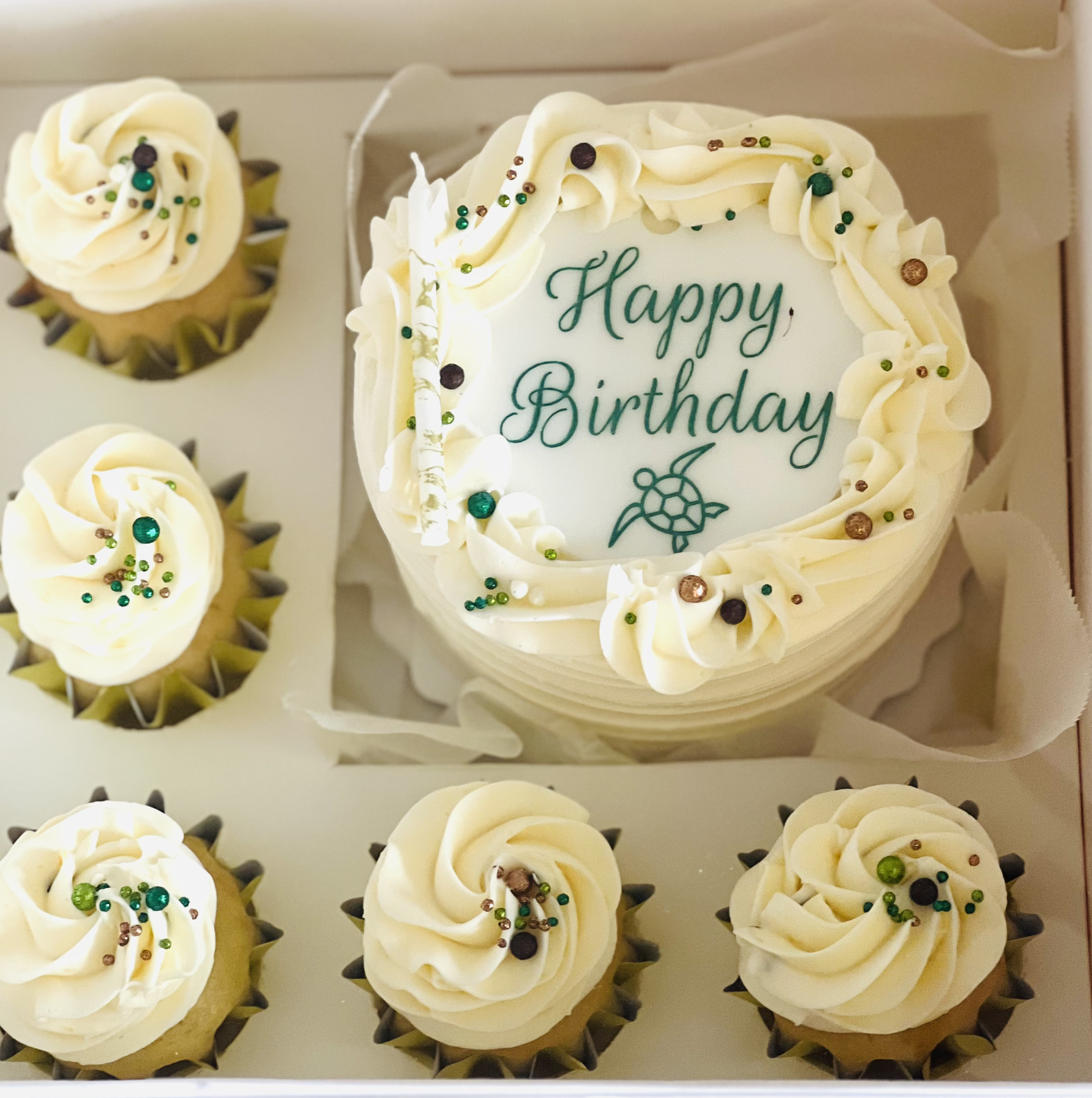 Bento Box with 5 Cupcakes
